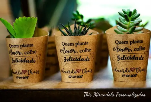 10 Saias 3D para Suculenta Mini Casamento (não Acompanha Planta)