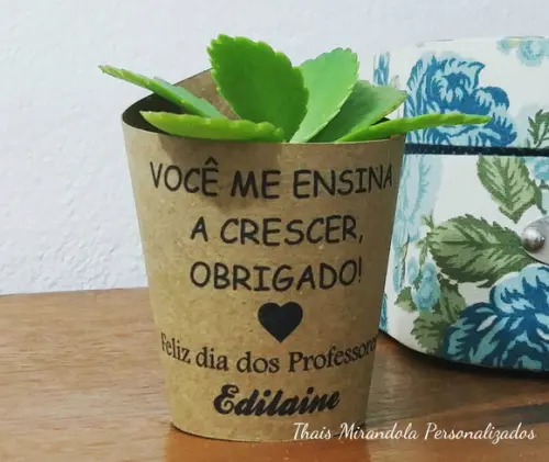 10 Saias para Suculenta Mini Dia dos Prof. (não Acomp. Planta)