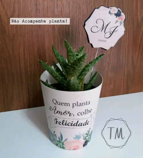 10 Saias para Suculenta Mini + Topper Casamento