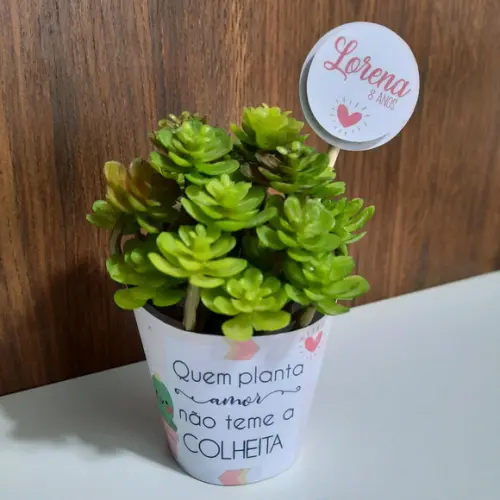 10 Saias para Suculenta Mini + Topper Cactos (não Acomp. Planta)