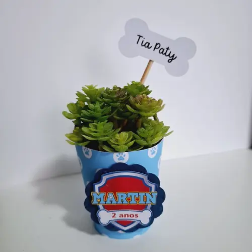 10 Saias para Suculenta Mini + Topper Patrulha Canina (não Acomp. Planta)