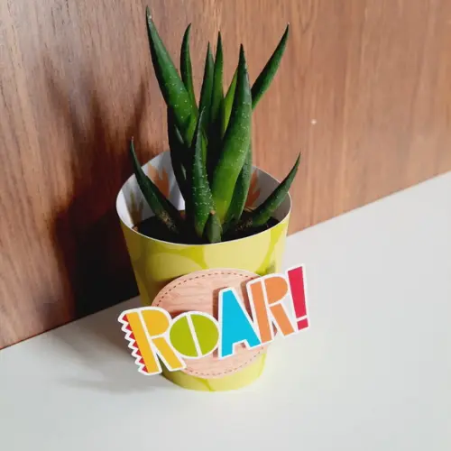 10 Saias 3D para Suculenta Mini Batizado Dinossauro (não Acomp. Planta)