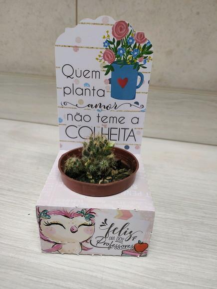 Porta Suculenta Personalizado