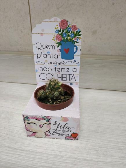 Porta Suculenta Personalizado
