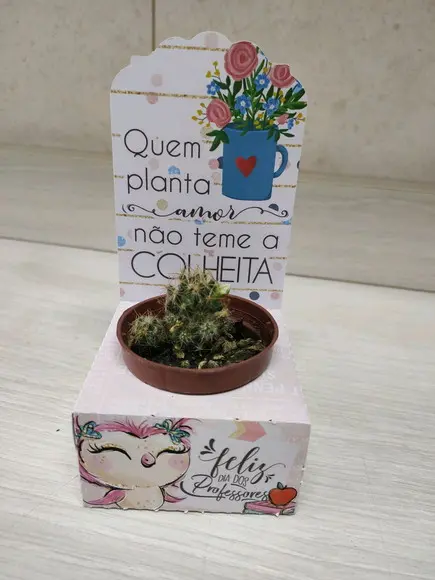 Porta Suculenta Personalizado