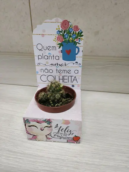 Porta Suculenta Personalizado