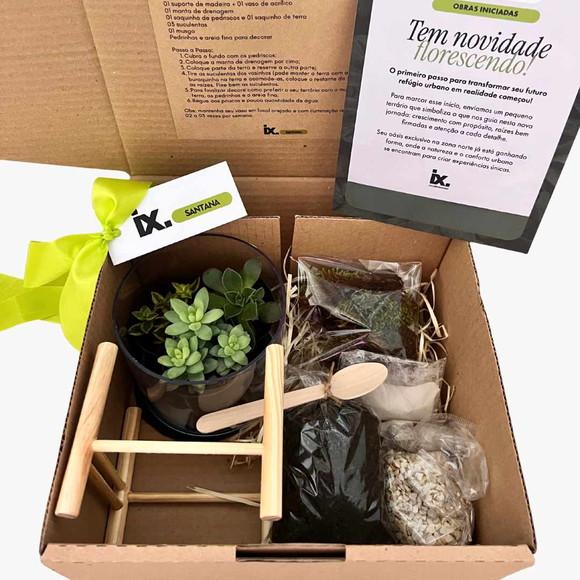 Kit Terrário Aberto (não Correio)