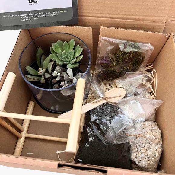 Kit Terrário Aberto (não Correio)