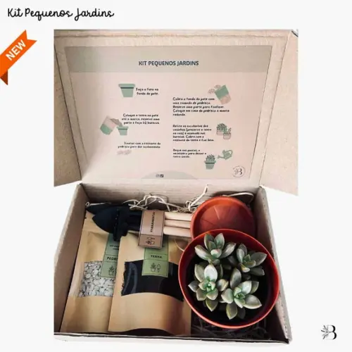Kit Pequenos Jardins