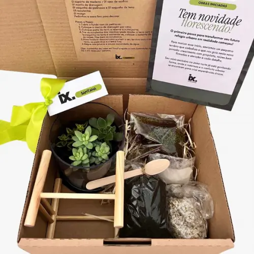 Kit Terrário Aberto (não Correio)