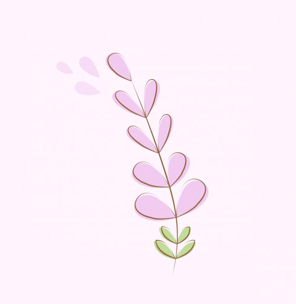 Mini Lavanda
