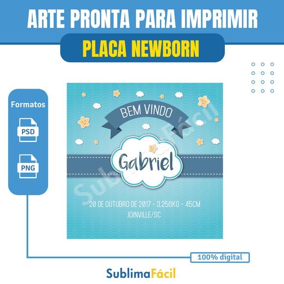 Placa Newborn Personalizada - Arte Digital
