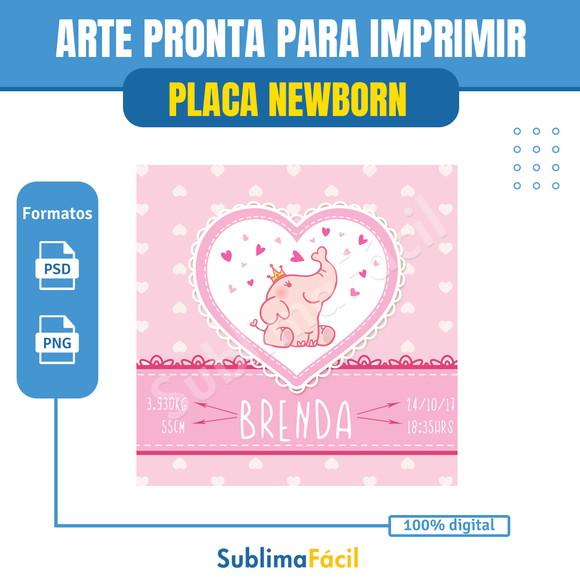 Placa Newborn Personalizada - Arte Digital