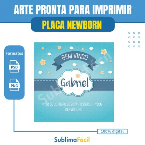 Placa Newborn Personalizada - Arte Digital