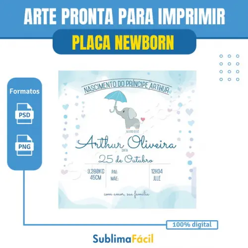 Placa Newborn Personalizada - Arte Digital