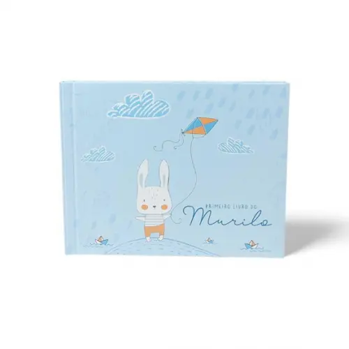 Livro do Bebê Luxo Coelhinho Pipa - Menino Capa Dura Diário