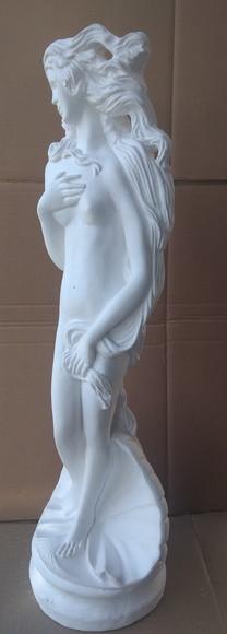 Afrodite Imagem Deusa Vénus Mãe Dagua Grande Gesso Cru