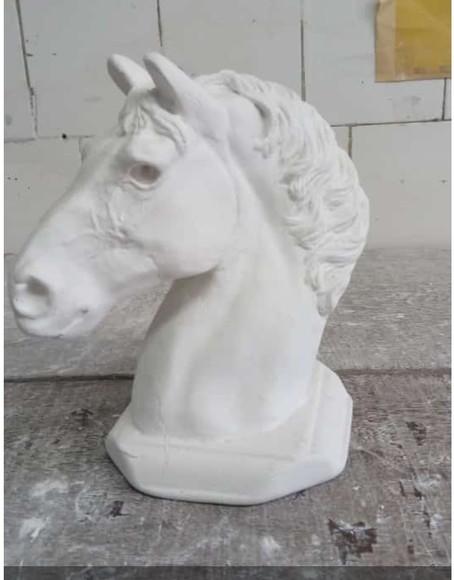 Busto Cavalo Imagem Cabeça de Cavalo Busto