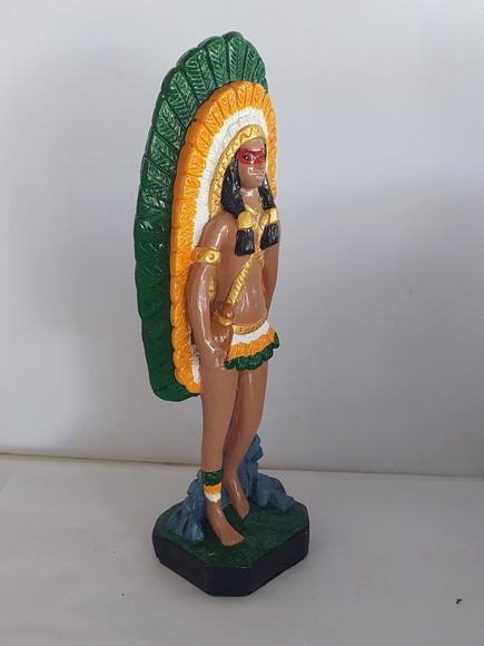 Cabocla Potira Imagem Pochira Guerreira Menina Pele Clara