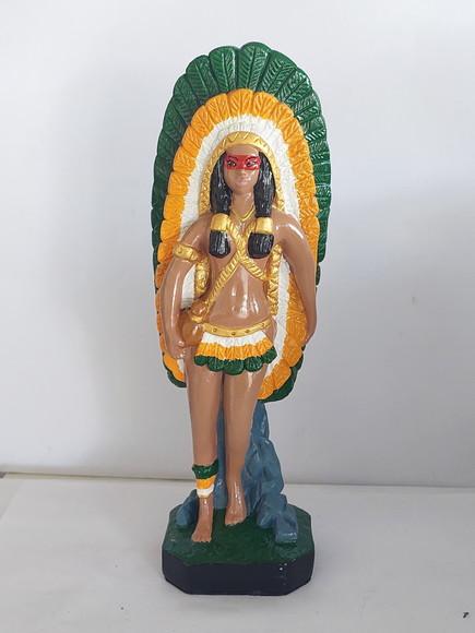 Cabocla Potira Imagem Pochira Guerreira Menina Pele Clara