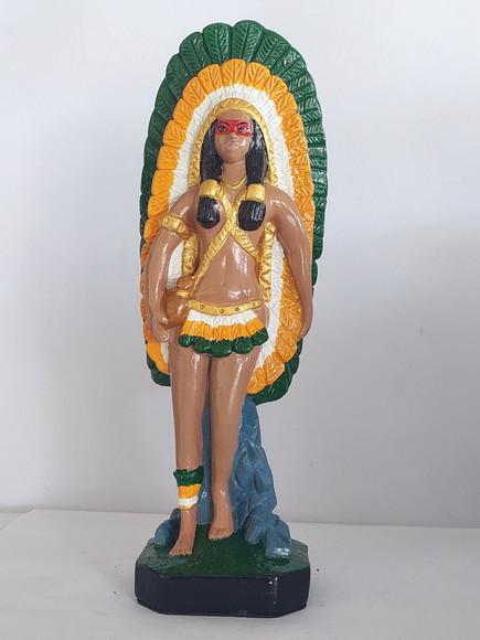 Cabocla Potira Imagem Pochira Guerreira Menina Pele Clara