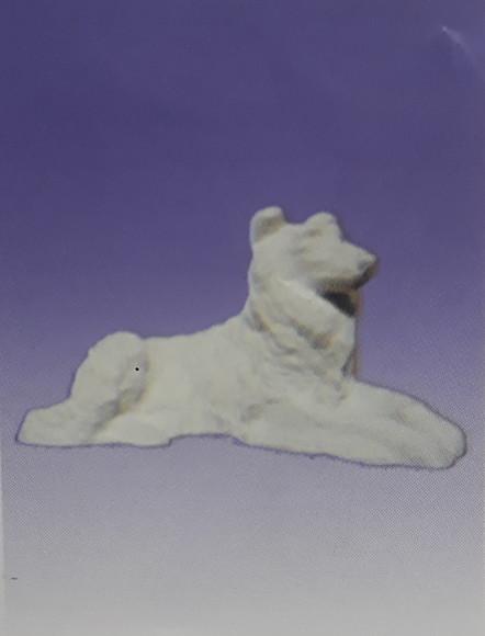Cão Collie Lesse Imagem em Gesso Cru Carrocho Lese