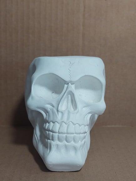 Cranio Caveira com Porta Vela 7 Dias Imagem Cranio