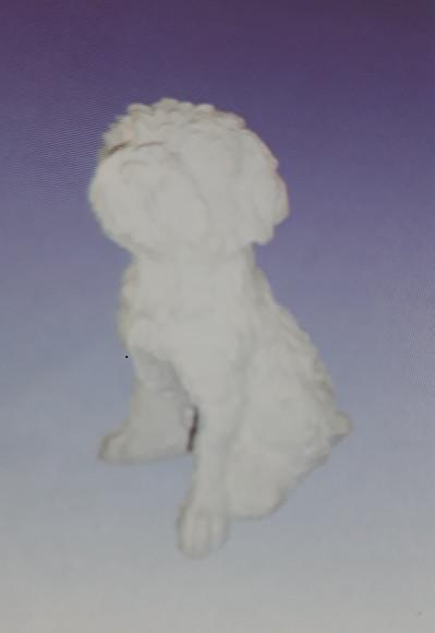 Escultura Cachorro Toy Imagem Cãozinho em Gesso Cru