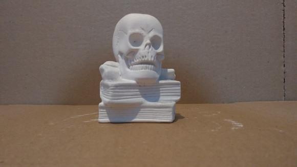 Escultura Caveira em Cima do Livro Cranio no Livro Gesso Cru