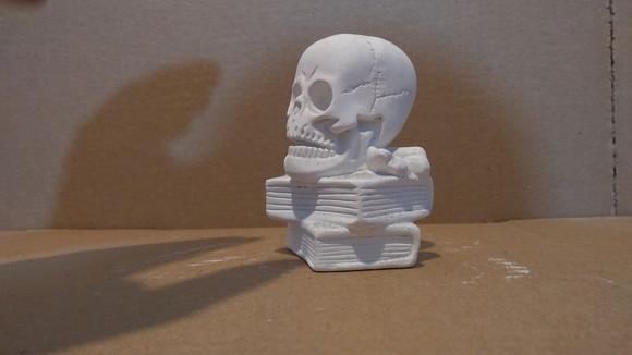 Escultura Caveira em Cima do Livro Cranio no Livro Gesso Cru