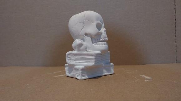 Escultura Caveira em Cima do Livro Cranio no Livro Gesso Cru