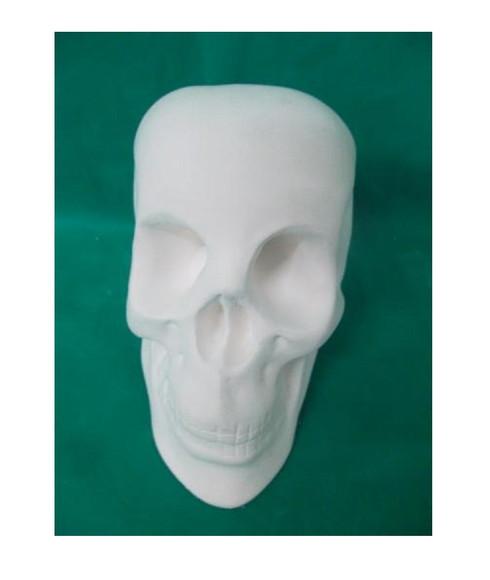 Escultura Caveira Imagem em Gesso Puro para Pintar