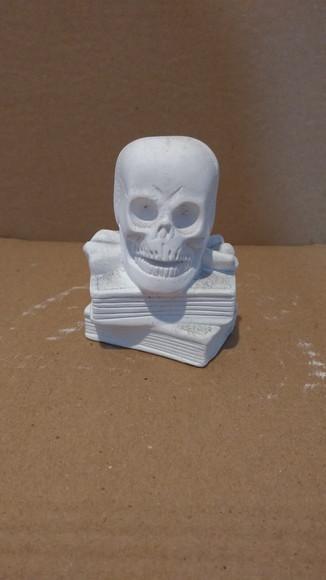 Escultura Caveira em Cima do Livro Cranio no Livro Gesso Cru