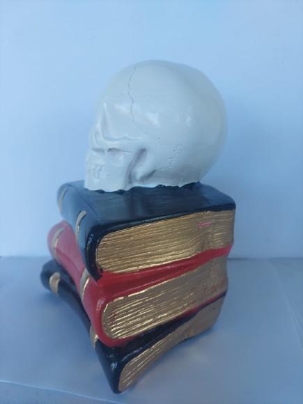 Escultura Cranio Em Cima Dos Livros Imagem