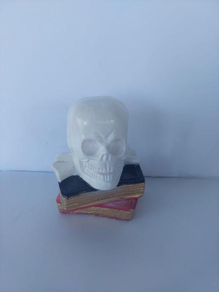 Escultura Cranio em Cima dos Livros Imagem Livro com Cranio