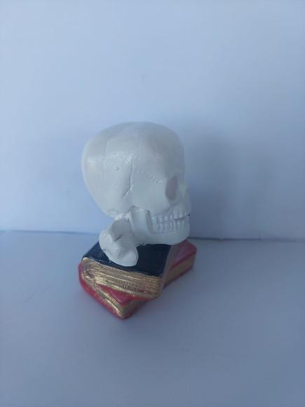Escultura Cranio em Cima dos Livros Imagem Livro com Cranio