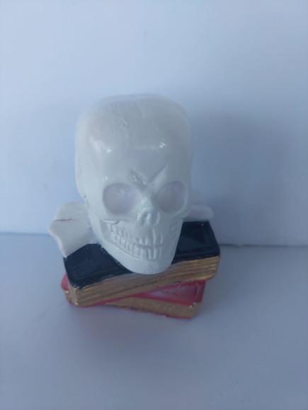 Escultura Cranio em Cima dos Livros Imagem Livro com Cranio