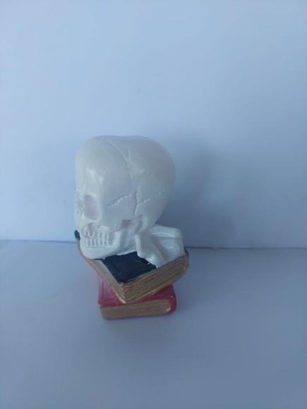 Escultura Cranio em Cima dos Livros Imagem Livro com Cranio
