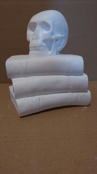 Escultura Cranio no Livro Caveira em Cima do Livro Gesso Cru