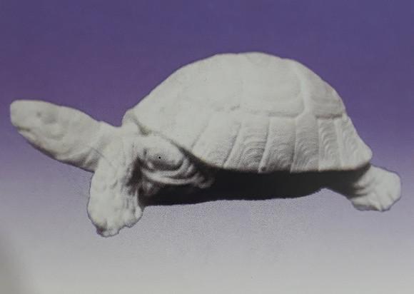 Escultura Tartaruga Imagem em Gesso Cru para Pintar