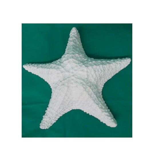 Estrela do Mar Imagem Estrela p/ Pendurar Parede Gesso Cru