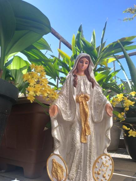 Imagem Nossa Senhora das Graças das Medalhas Pintura Linda