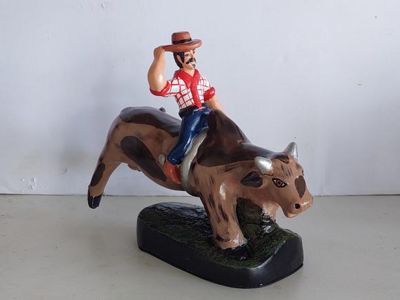 Peão Boiadeiro Imagem Boiadeiro com Boi Vaqueiro Baiano