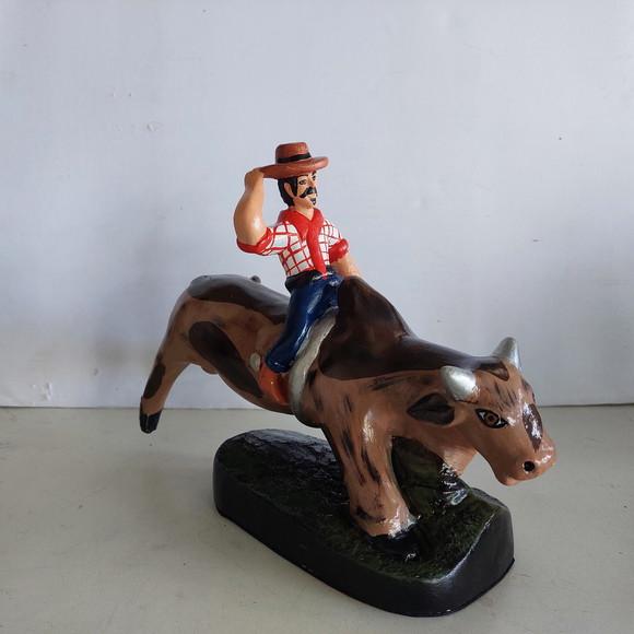 Peão Boiadeiro Imagem Boiadeiro com Boi Vaqueiro Baiano