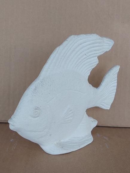 Peixe Beta Imagem Peixinho Beta Escultura em Gesso Cru