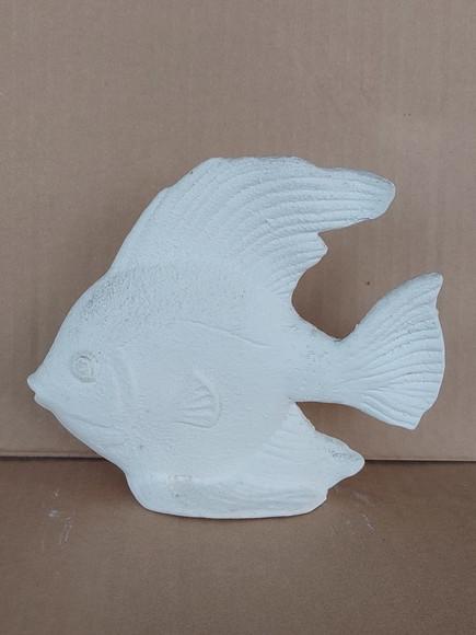 Peixe Beta Imagem Peixinho Beta Escultura em Gesso Cru