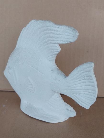 Peixe Beta Imagem Peixinho Beta Escultura em Gesso Cru
