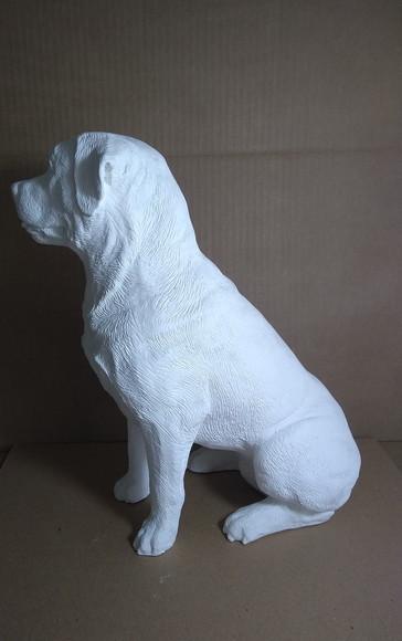 Rottweiler Cachorro Rottweiler Escultura em Gesso Cru