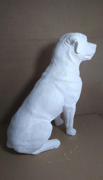 Rottweiler Cachorro Rottweiler Escultura em Gesso Cru