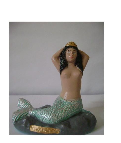 Sereia do Mar Imagem Sereia Nova com Pinturas Especial